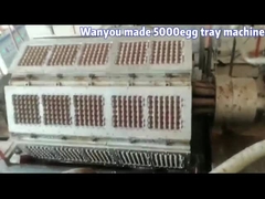 Paper Egg Carton / Tray Making Machine , Durable Fruit Tray Making Machine