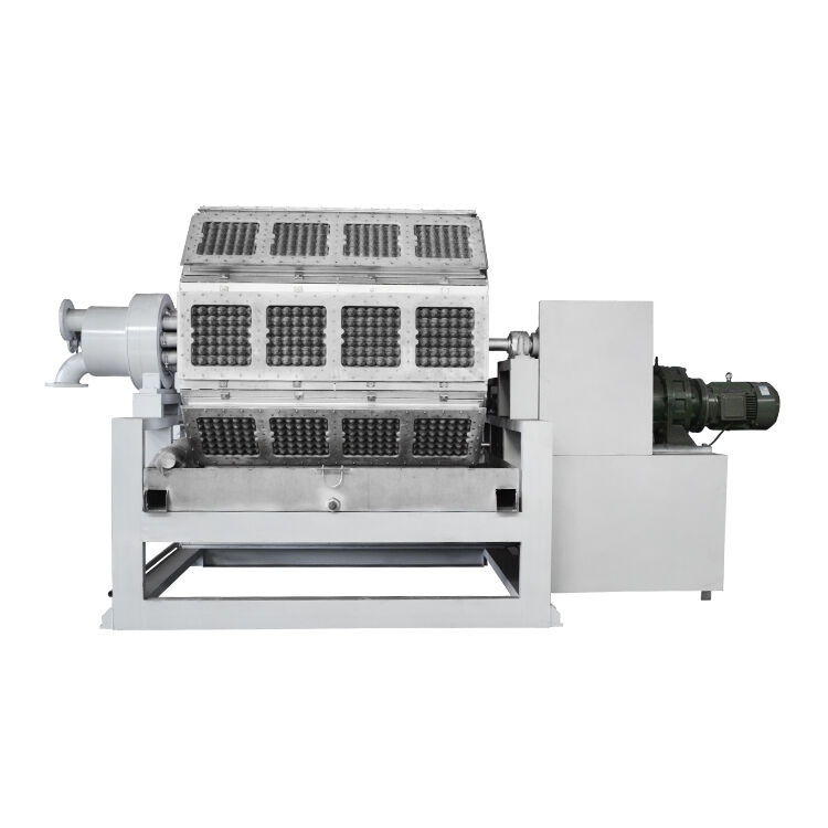 2500-5000pcs/h Apple Tray Paper Egg Tray Machine Egg Carton Production Line Energy Saving PLC Controlled